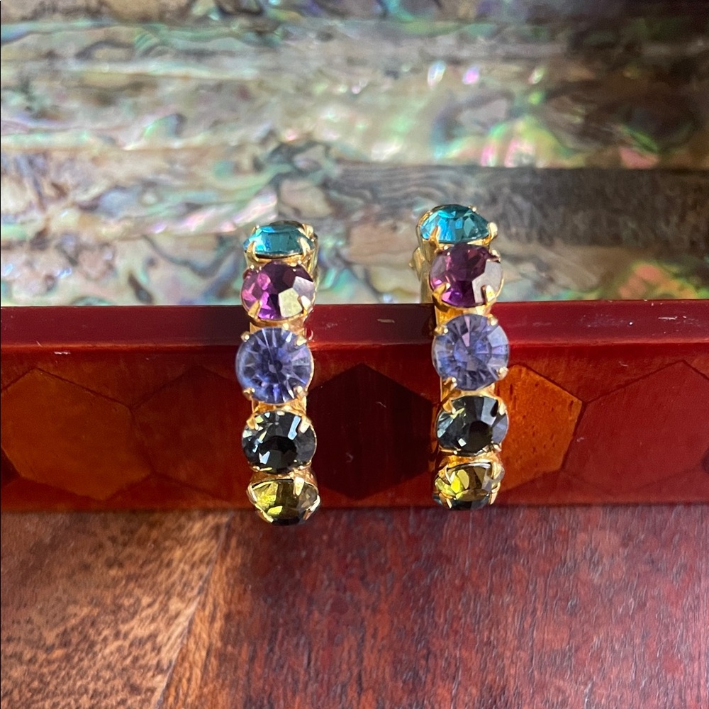 Elegant Multicolor Crystal Hoop Earrings